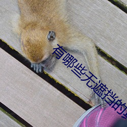 有哪(哪)些无遮挡(擋)的真人直播APP