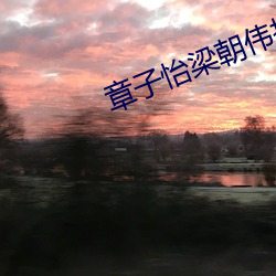 章子(子)怡梁朝伟(偉)拍(拍)的(的)电(電)影大(大)全(全)