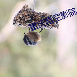 重(zhòng)庆(qìng)星空影院