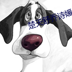 楚(chǔ)天舒乔诗媛小(xiǎo)说免费阅(yuè)读