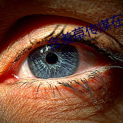 含(hán)差草传煤在线观(guān)看不下(xià)载