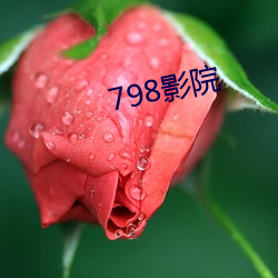 798影(影)院