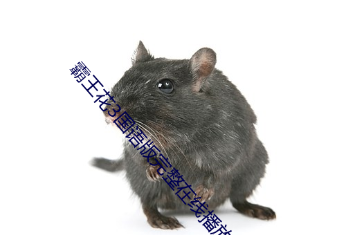 霸王花3国(guó)语版完(wán)整(zhěng)在(zài)线播放