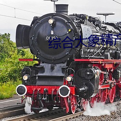 综合大象精产(産)国(國)品