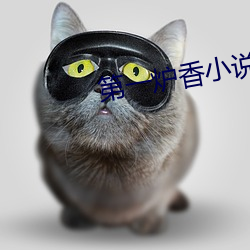 第一炉香小(小)说