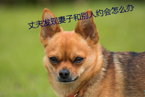 (й) - ٷվ