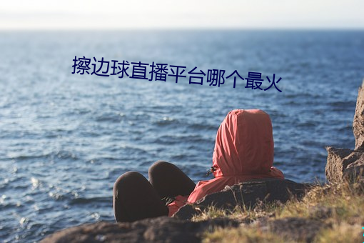 擦边球直播平台哪个最火