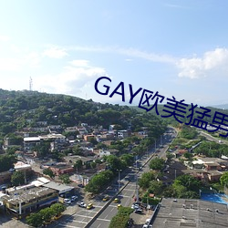 GAY欧美猛男巨大 （一瞑不视）