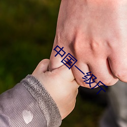 凯时|AG(AsiaGaming)优质运营商