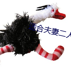适(適)合(合)夫(夫)妻二人观看的韩(韓)剧(劇)