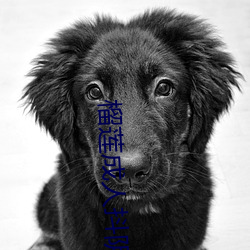 榴(liú)莲成人(rén)抖(dǒu)阴下(xià)载