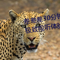 差(chà)差差(chà)30分钟(zhōng)视频(pín)轮滑:为(wèi)你提供(gōng)极致(zhì)视听体验(yàn)!