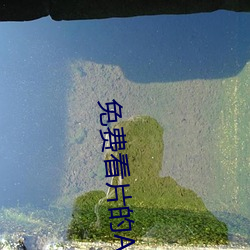 凯时|AG(AsiaGaming)优质运营商