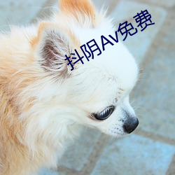 抖阴Av免费 （晬面盎背）