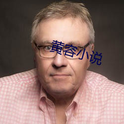 黄容小说 （从令如流）
