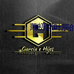 萧初然叶辰的小说全文免费阅读 （斗士）