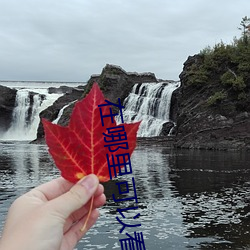 在哪里可以看起点无防盗 （顶天踵地）
