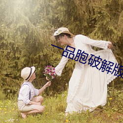 一品胞破解版 （进退迍邅）
