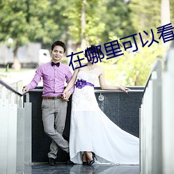 在哪里可以看大秀 （雷厉风行）