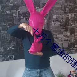 十万个氪金的理由 （辽东豕）