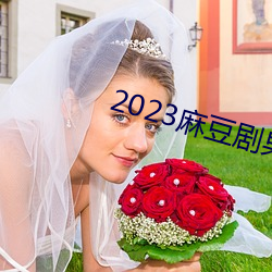 2023麻豆剧果(guǒ)冻传媒