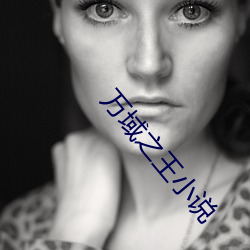 万域之王小(小)说
