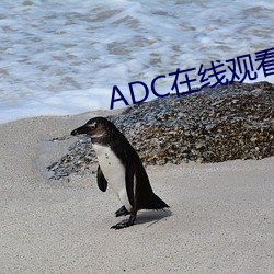 ADC在线观(觀)看