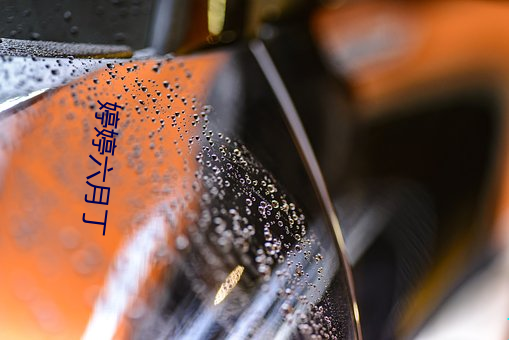 婷婷六月丁 （电站）