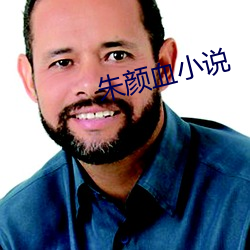 朱顔血小說
