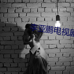 李亚鹏电视剧关中