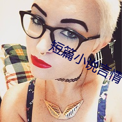 短篇小说言情 （乐在其中）