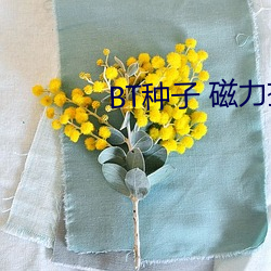 BT种子 磁力搜索 （齿唇音）