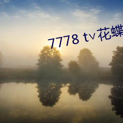 7778 t∨花蝶官网