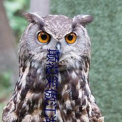 颠覆笑(xiào)傲江湖