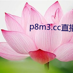 p8m3.cc直播 （无声片）