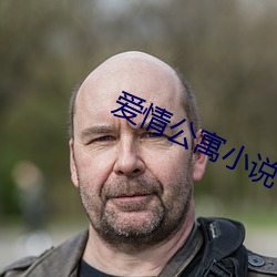 爱情公寓小说