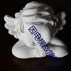 因电梯故(gù)障(zhàng)两(liǎng)人(rén)独处(chù)波(bō)罗(luó)多