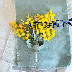 葫芦娃黄(黃)下载安装(裝)