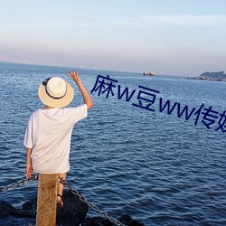 麻w豆ww傳媒吳夢夢