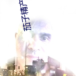 茄子精产(産)国产(産)品
