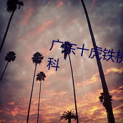 广东十虎铁桥三之王者(zhě)归来百度百科
