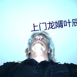 上门龙婿叶辰免费全文阅读