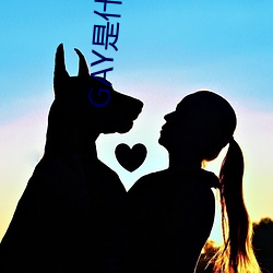 GAY是什么意思