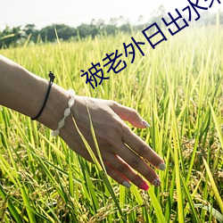 被老外日出水来 （座谈）
