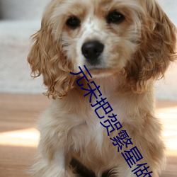 元宋把(bǎ)贺(hè)繁星做(zuò)哭(kū)了