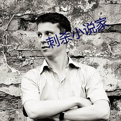 刺杀小(小)说家