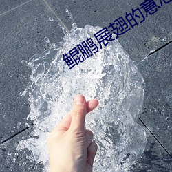 金年会 | 诚信至上金字招牌