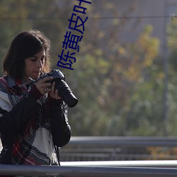 陈黄皮叶红鱼 （互联网）