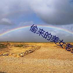 偷来的美女(nǚ)老婆