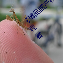 《精品国产精品网麻豆系列》免费不卡在线观看 （干戈）
